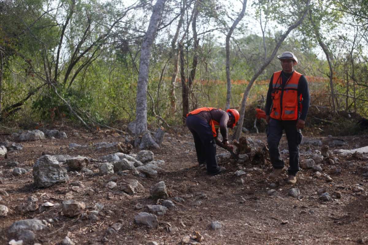 https://cdn.milenio.com/uploads/media/2022/05/22/supervision-obre-tren-maya-araceli-3.jpg