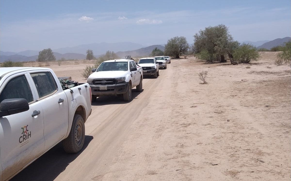 Concluyeron las labores de exhumación con enfoque masivo en Matamoros. (Especial)