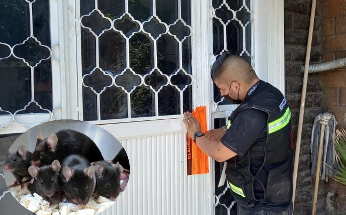 En el lugar se encontraron malas condiciones higiénico-sanitarias. (Especial)