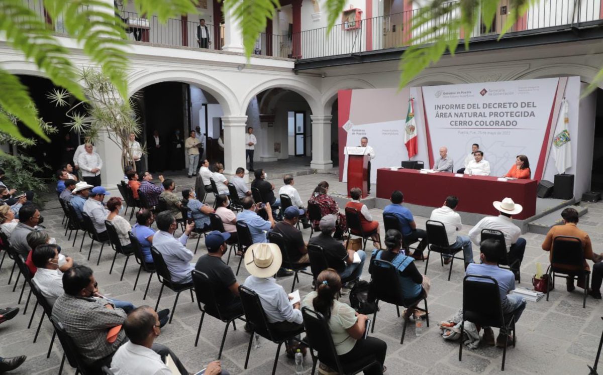 Barbosa abroga decreto de área natural protegida Cerro Colorado; era irregular | Especial