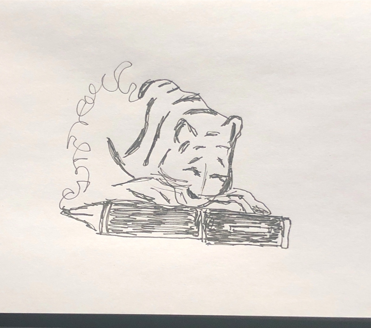 duerme el tigre
