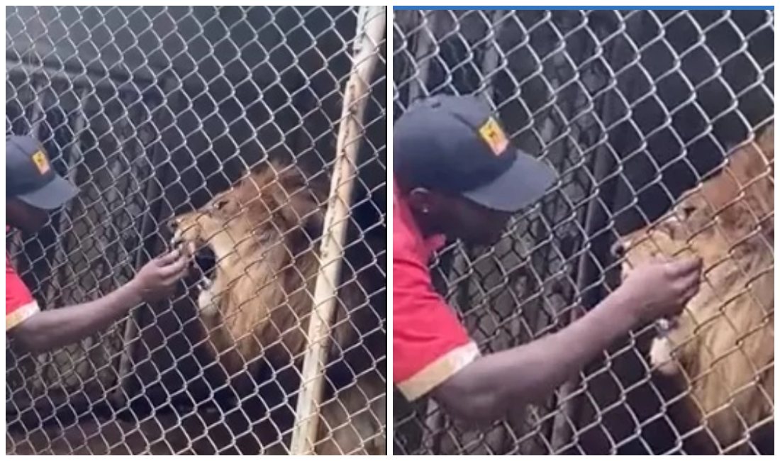 Esto pasó en Jamaica (Captura de pantalla).