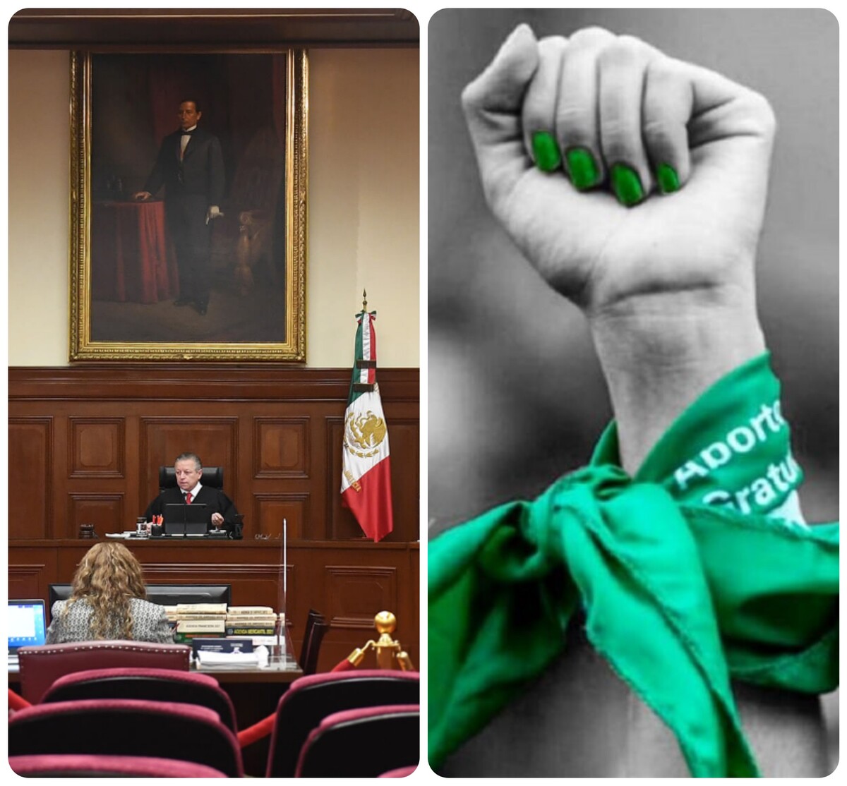 El derecho a la vida, tema del pleno en la SCJN.