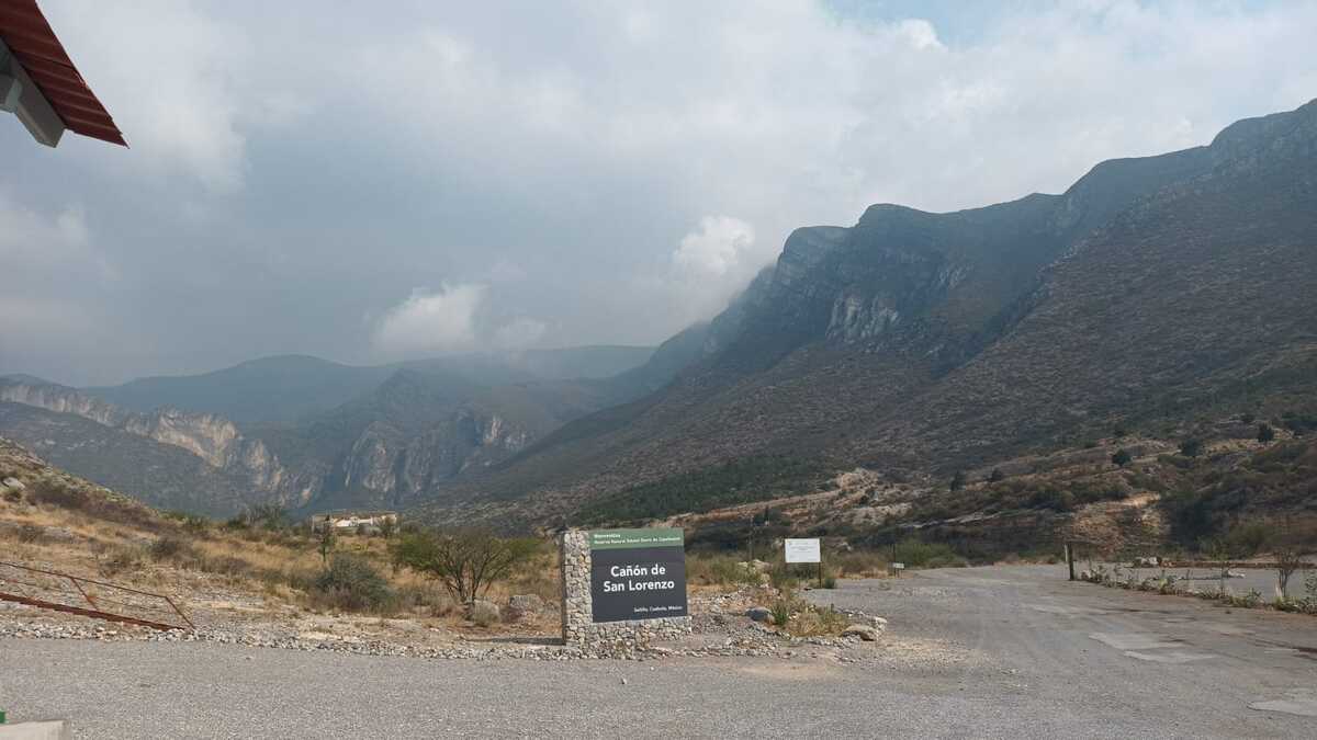 Van 30 detenidos por incendios forestales en sierra de Arteaga | Milenio Digital