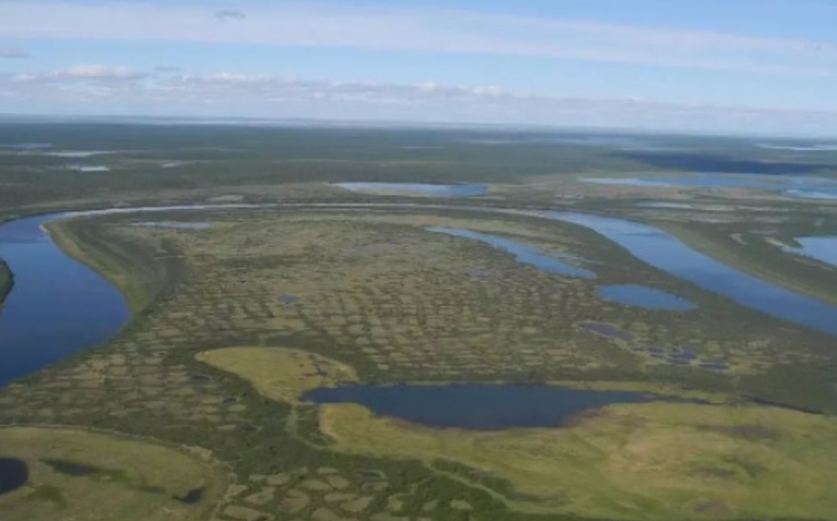 Las emisiones de gases de efecto invernadero podrían hacer que la tundra desaparezca (DPA).
