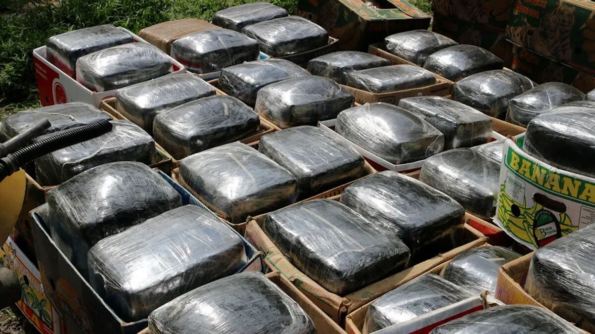 Tras la legalización, cae 58 por ciento tráfico de mariguana mexicana a EU