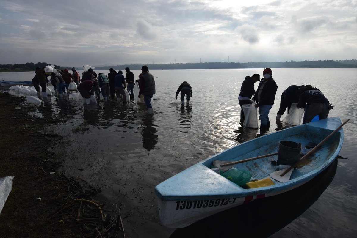 Ríos de Hidalgo no son aprovechados para la pesca. (Francisco Villeda)