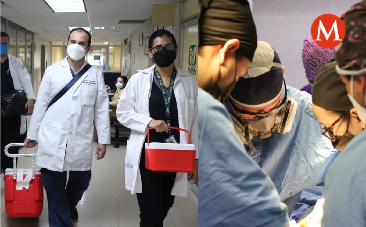 Donación multiorgánica en IMSS Tamaulipas beneficia a cuatro pacientes