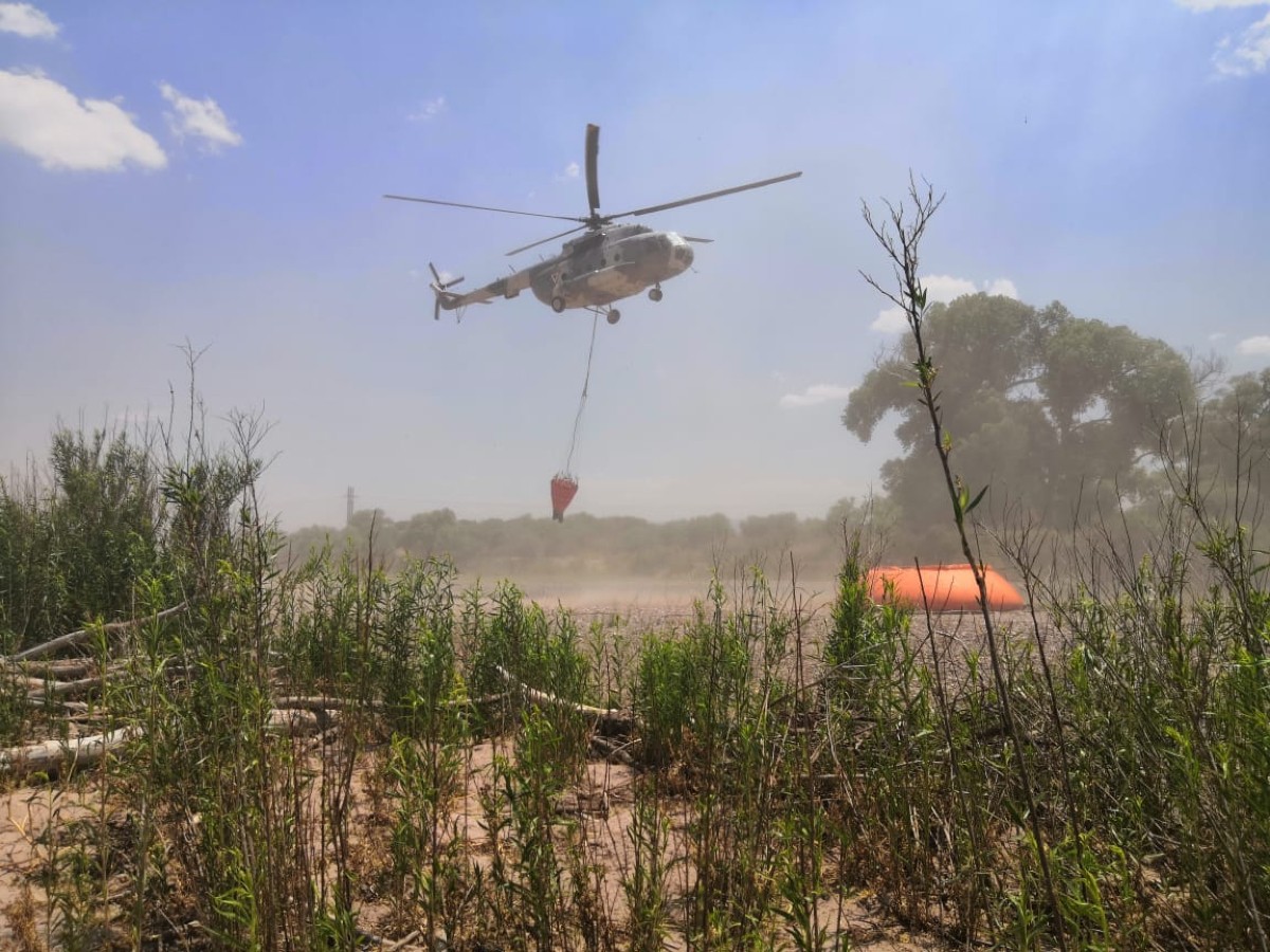 Incendios forestales en Durango. (Especial)