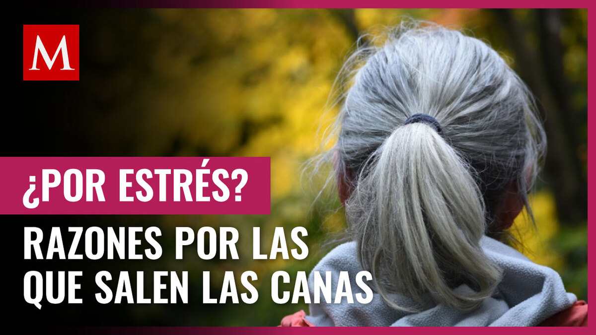 ¿Es por estrés? Estudio de Harvard revela las razones por las que salen las canas