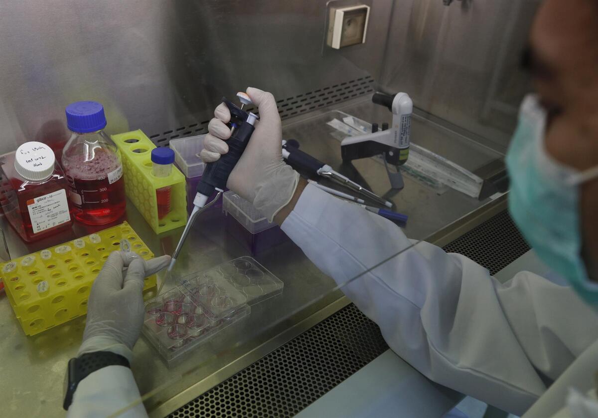 Los sÍntomas de la persona no evolucionaron como los de la viruela del mono (EFE)