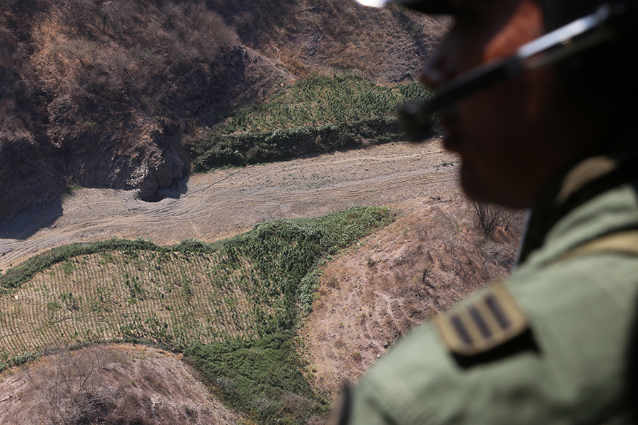 En Tamazula, Durango se destruyeron poco mas de 1.2 hectáreas en la zona de la Sierra Madre. |Javier Ríos