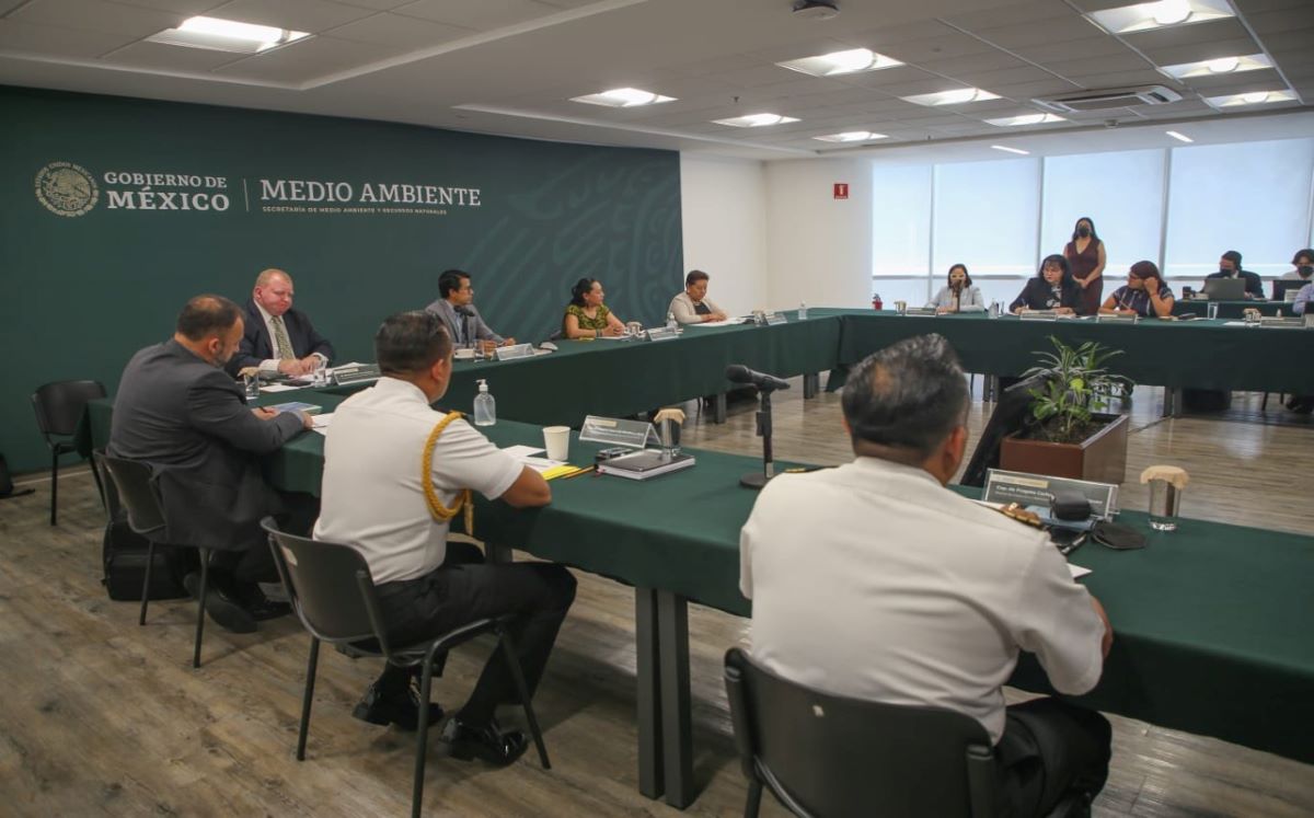 CITES visita a México para evaluar situación de la vaquita marina y totoaba