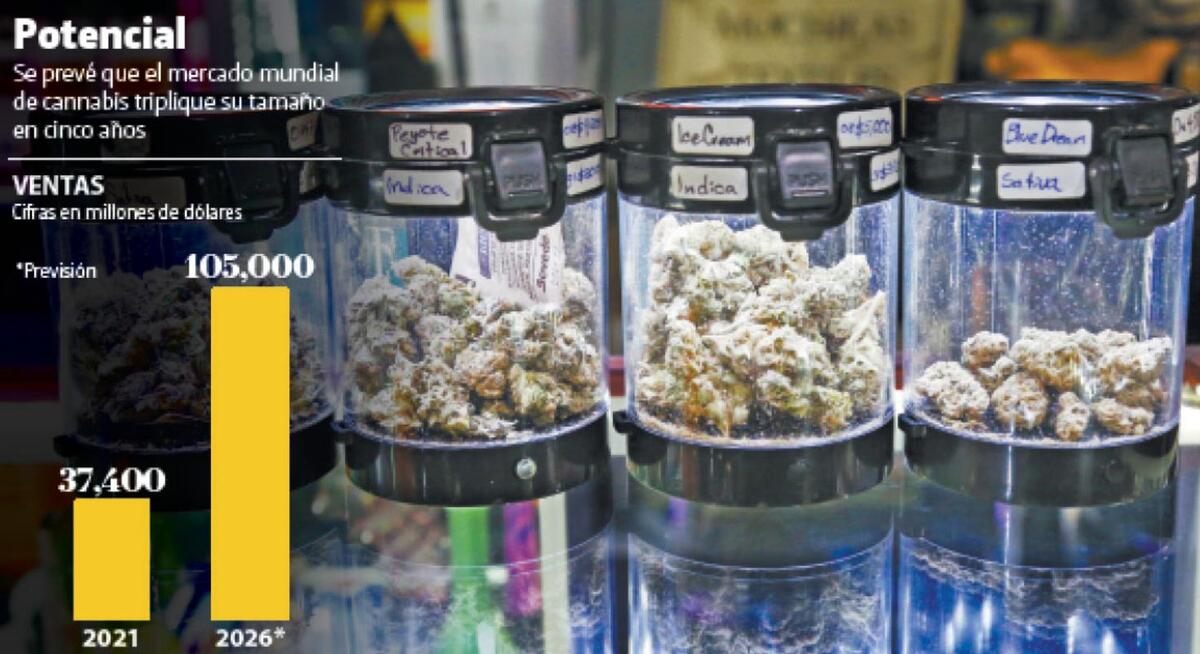 • FUENTE: The Global Cannabis Report 2022 • FOTOGRAFÍA: Ariel Ojeda • GRÁFICO: Juan Carlos Fleicer