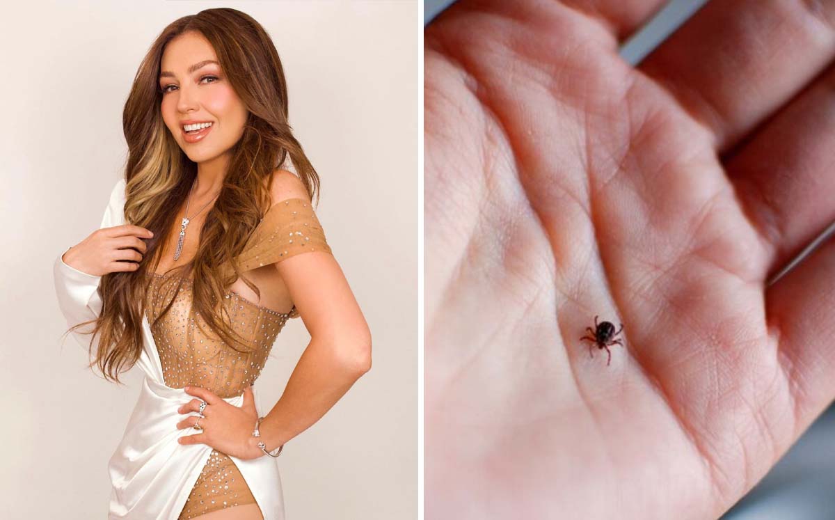 Thalía padece la enfermedad de Lyme de acuerdo con Laura Zapata (Instagram)