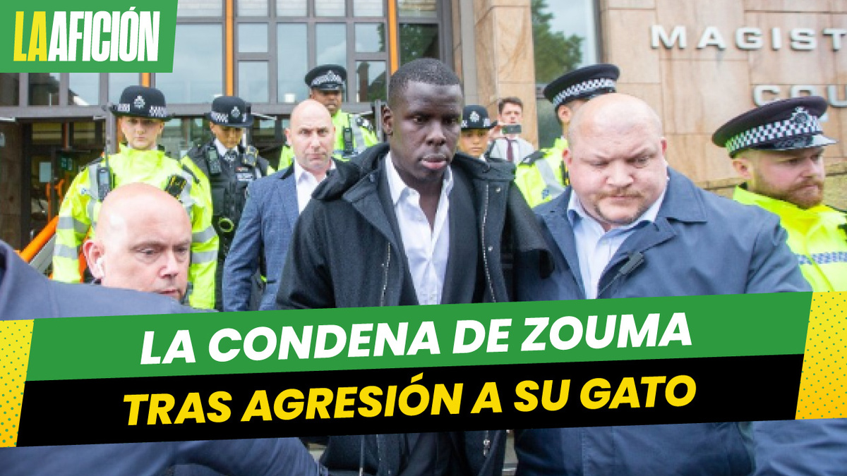 ¡Le cayó la ley! Kurt Zouma, condenado a servicios comunitarios por golpear a su gato