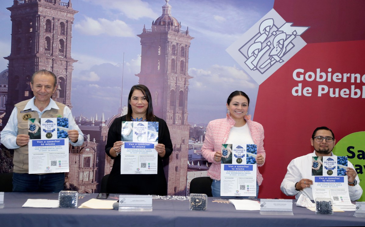 Presentan el Berries Club Fest 2022 en Zacatlán | Agencia Enfoque