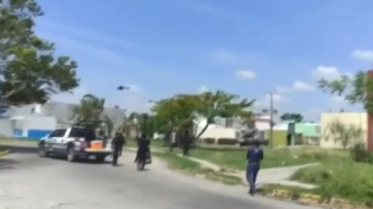 Aseguran 12 unidades habitacionales en Veracruz tras fuerte operativo