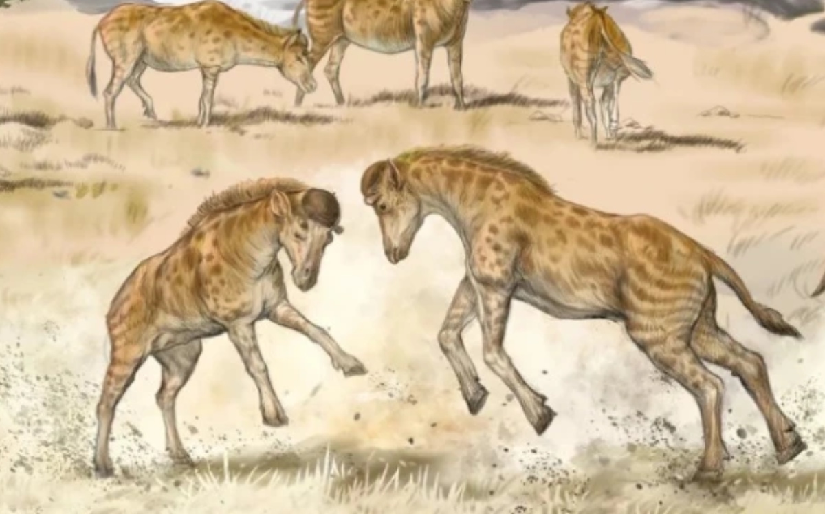 El origen de las jirafas