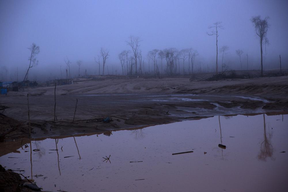 Perú se había comprometido a detener la deforestación del Amazonas (AP)