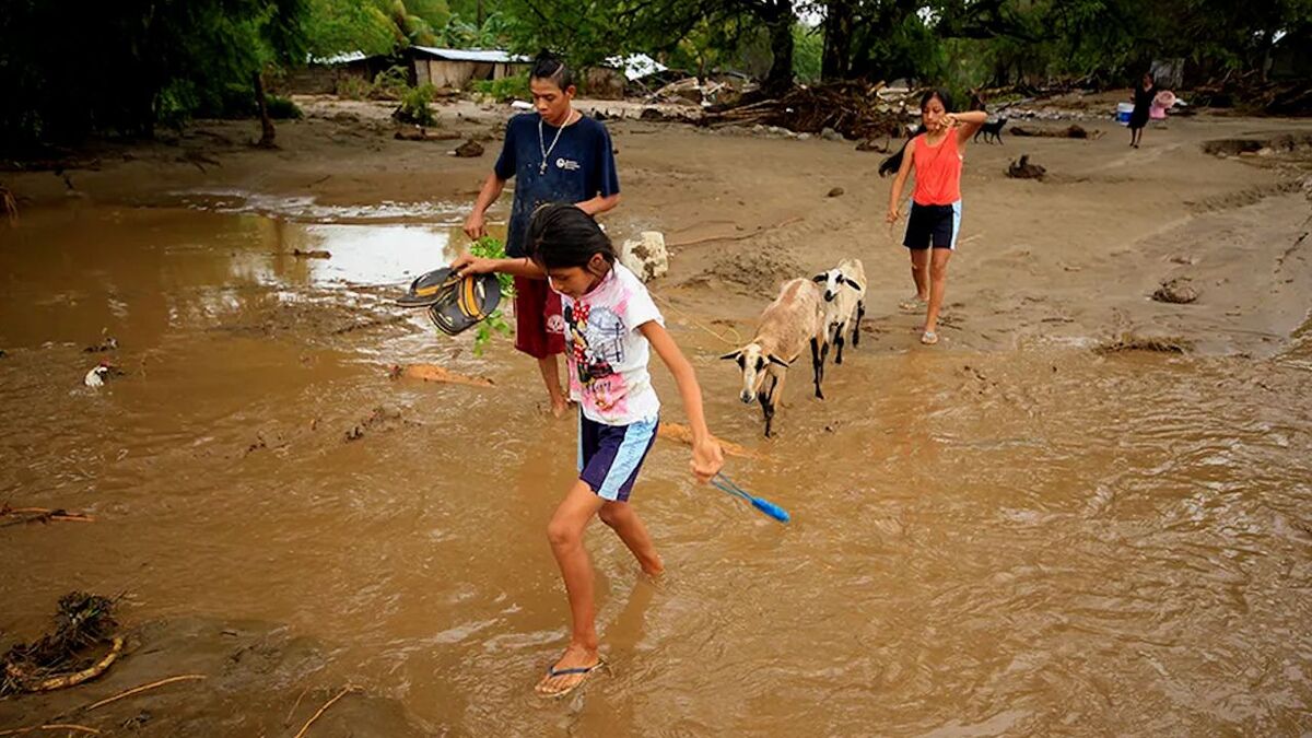Cdmx instala centros de acopio en apoyo a damnificados de Oaxaca
