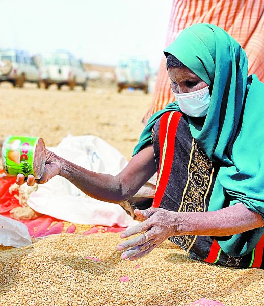 Una mujer recoge granos en un campo de desplazados en Somalia. Reuters