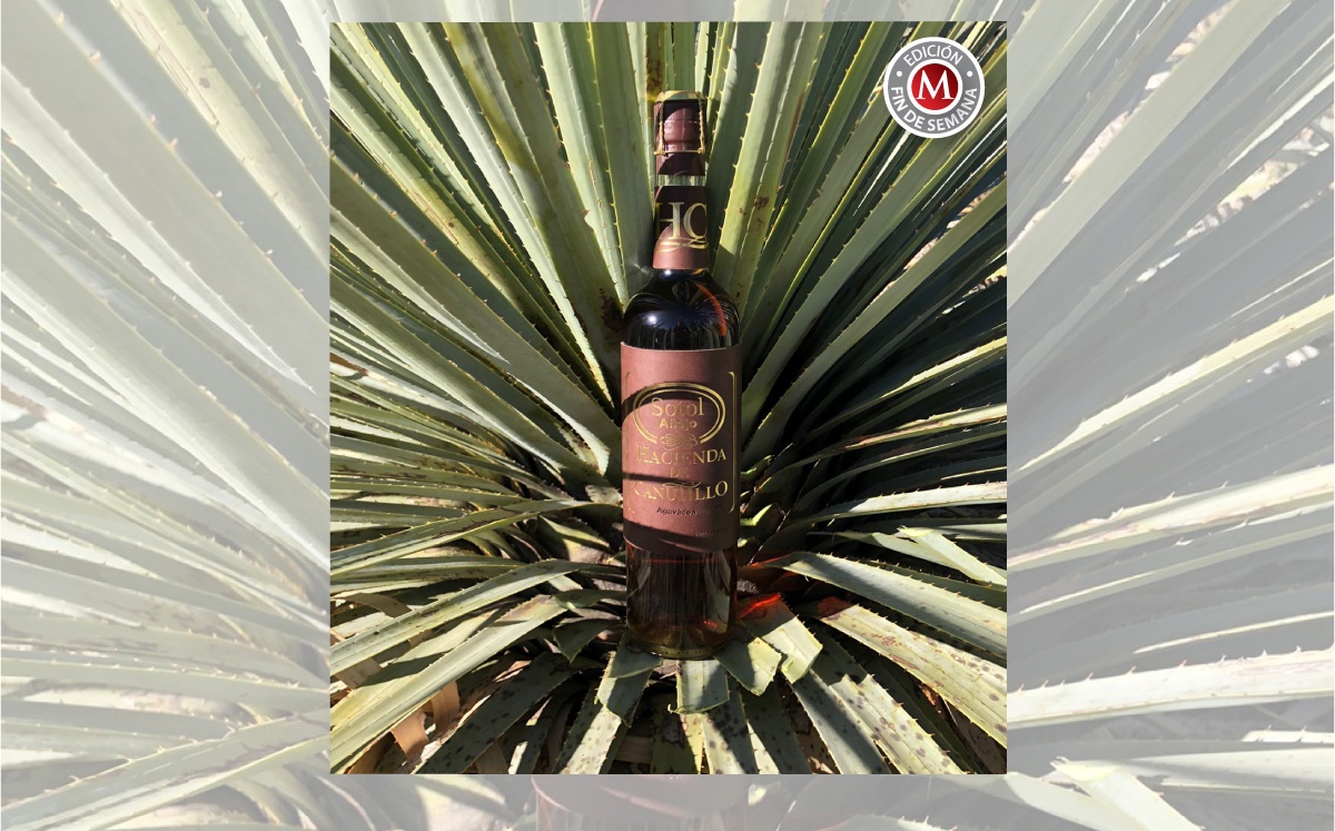 Sotol. El destilado que se toma a besitos