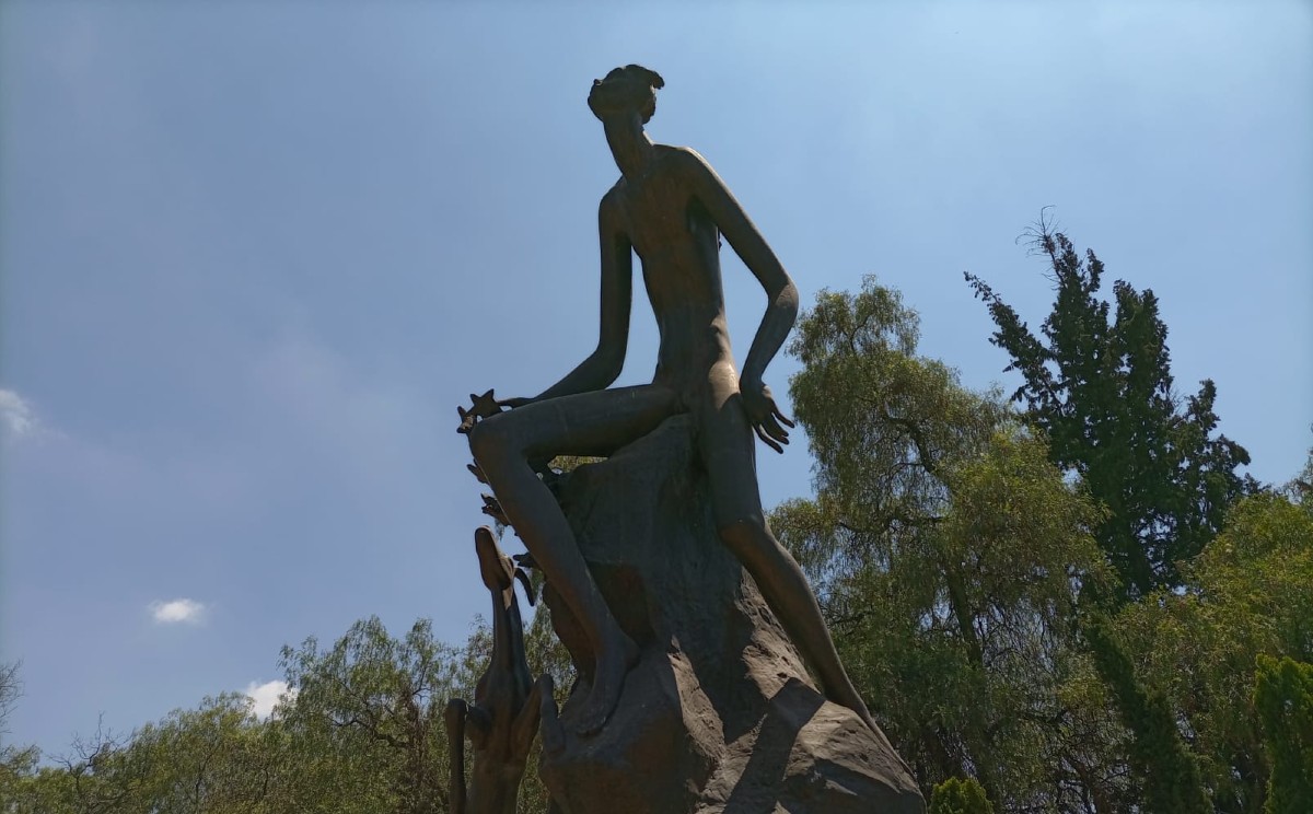 "Cazador de estrellas. Charlotte Yazbek" | José Solorzano.