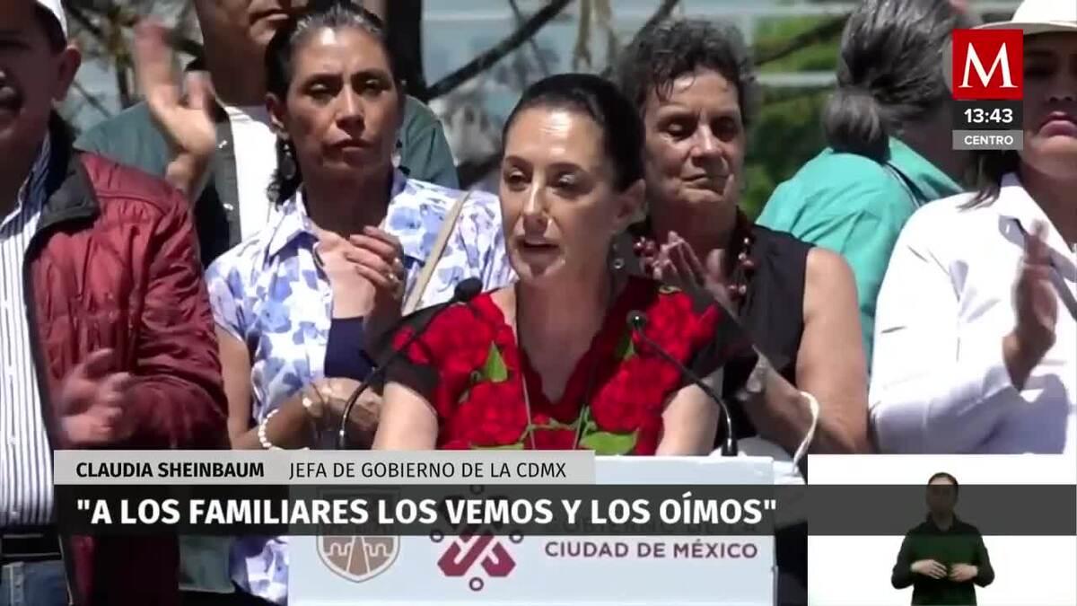 Llamaron al ahuehuete 'El guardián de las y los desaparecidos'