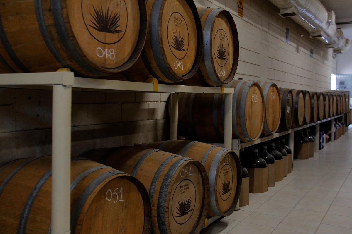 Torreón cuenta con seis marcas de sotol | Manuel Guadarrama