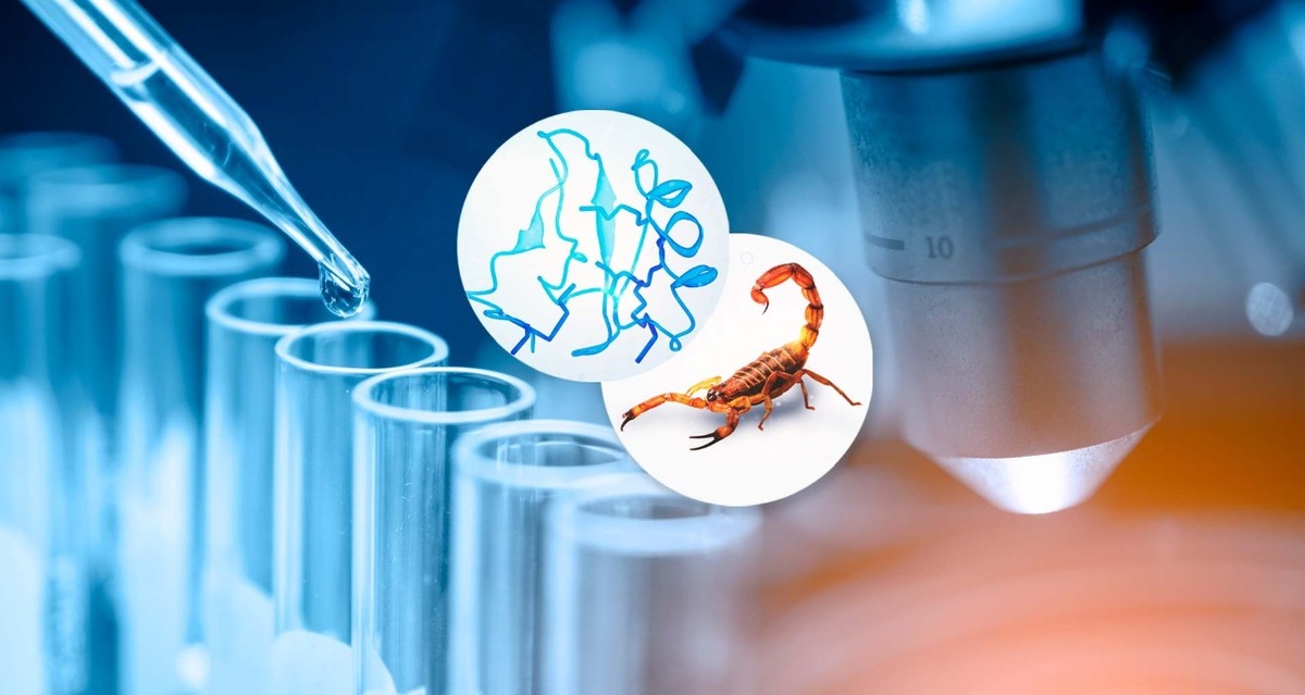 Desde hace más de 30 años, el veneno del escorpión azul, una especie nativa de Cuba, ha sido utilizado como remedio natural contra el cáncer. (Especia