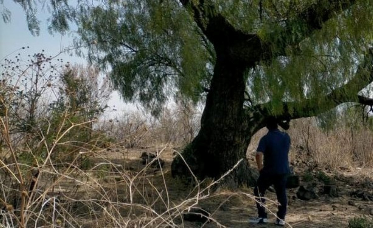 El cuerpo fue hallado colgando en la zona del volcán Xaltepec. | Enrique Luna