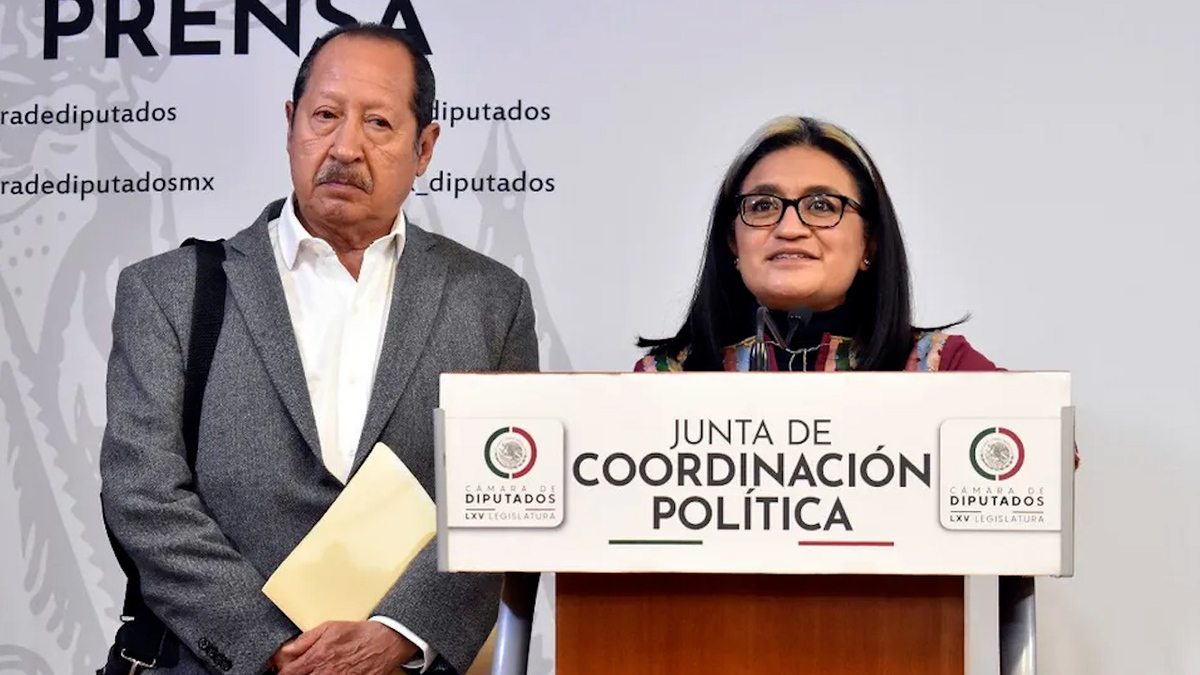 Vicecoordinadora de Morena desestimó las declaraciones nacionales