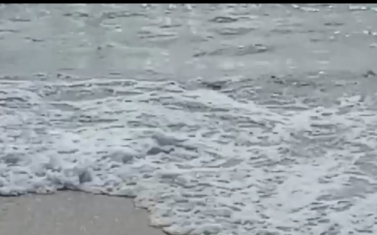 Fuga de aguas residuales pone el agua negra en playa de Altamira. (Especial)