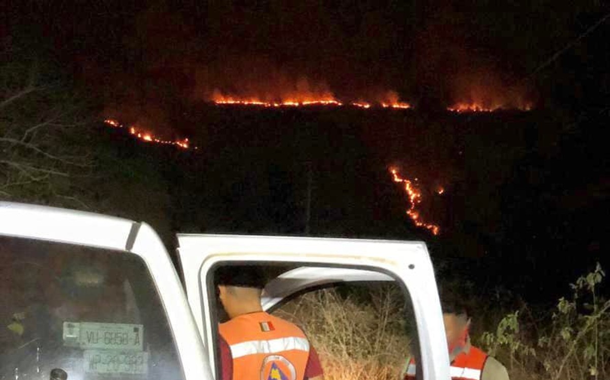 Incendio forestal en González, Tamaulipas. (Protección Civil)