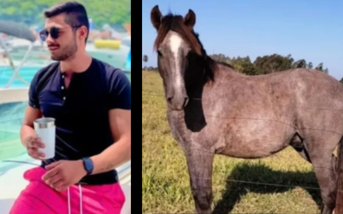 Hombre entra borracho a subasta; se gana un caballo y ahora no sabe qué hahcer | ESPECIAL