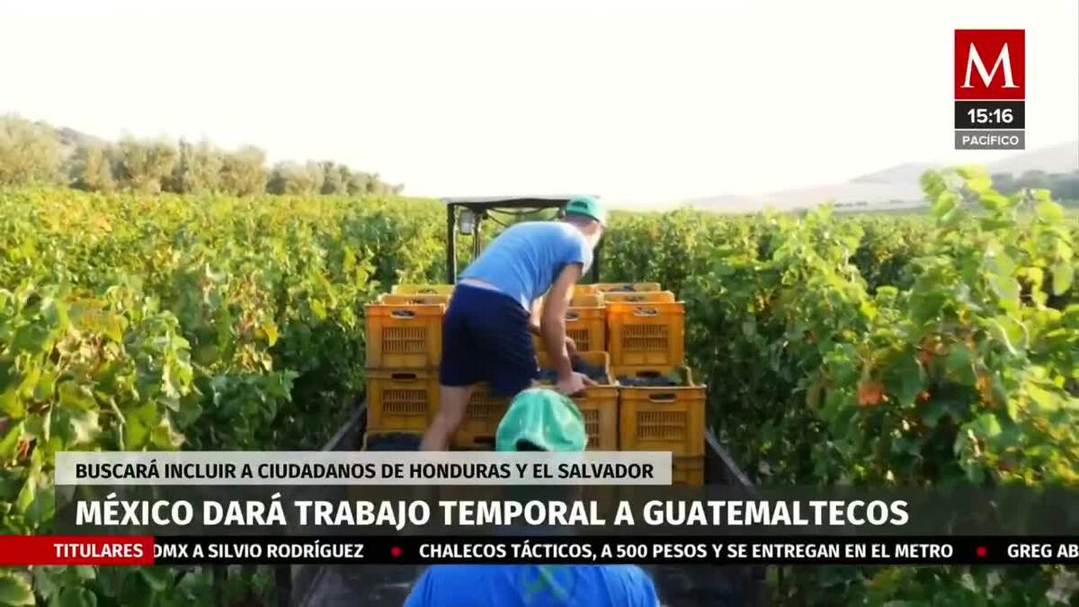 México dará trabajo temporal a 20 mil guatemaltecos
