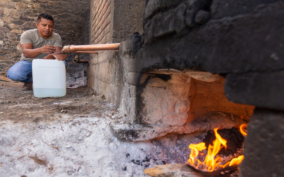 Mezcal de Caltepec | Andrés Lobato
