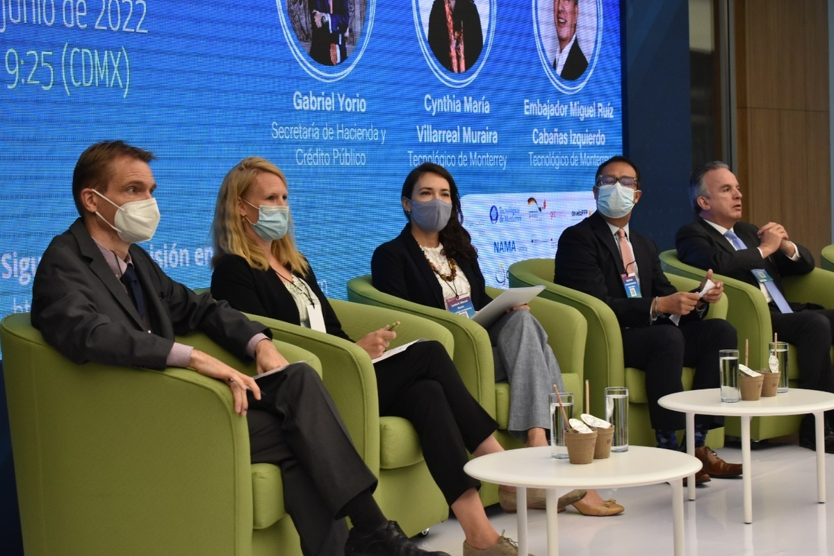 Financiamiento verde, clave para alcanzar metas climáticas: Expertos. Foto: Especial