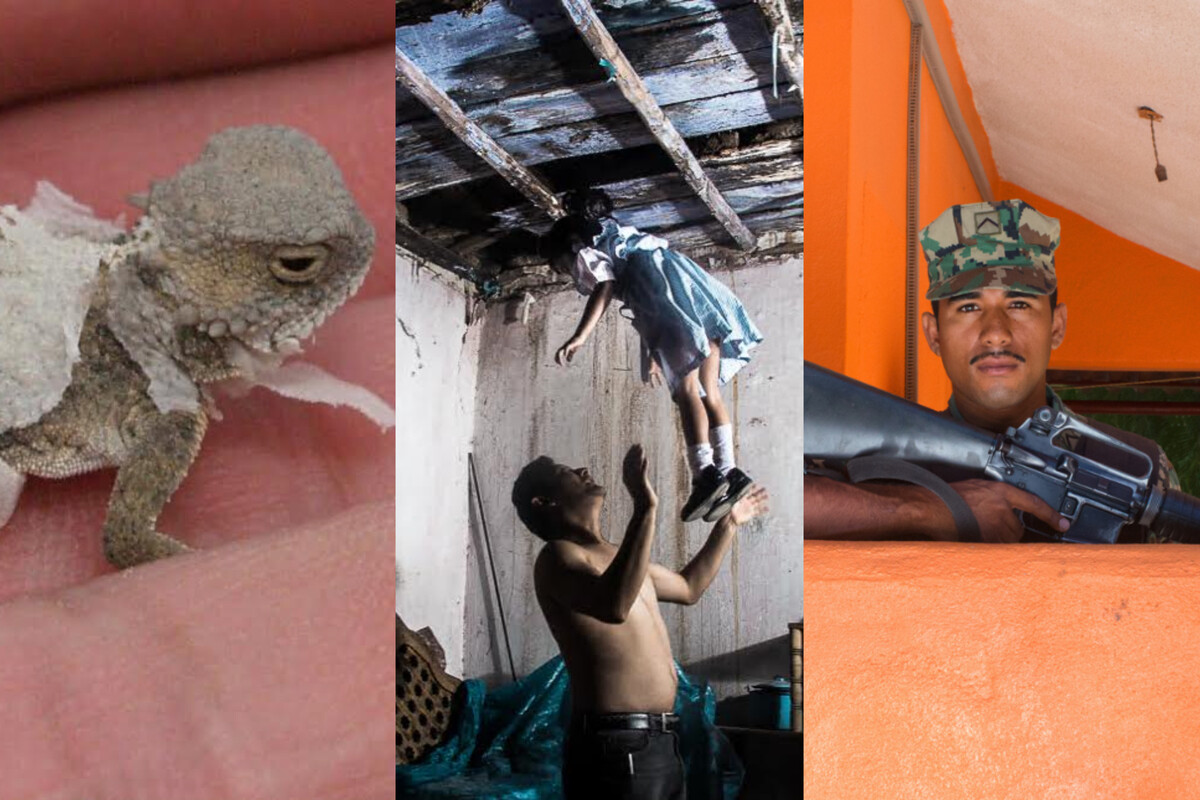 Carlos Velazco, Yael Martínez, Mónica Alcázar-Duarte