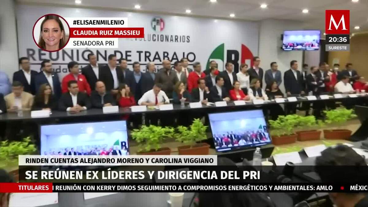 "Planteamos preocupaciones sobre el partido"; Ruíz Massieu