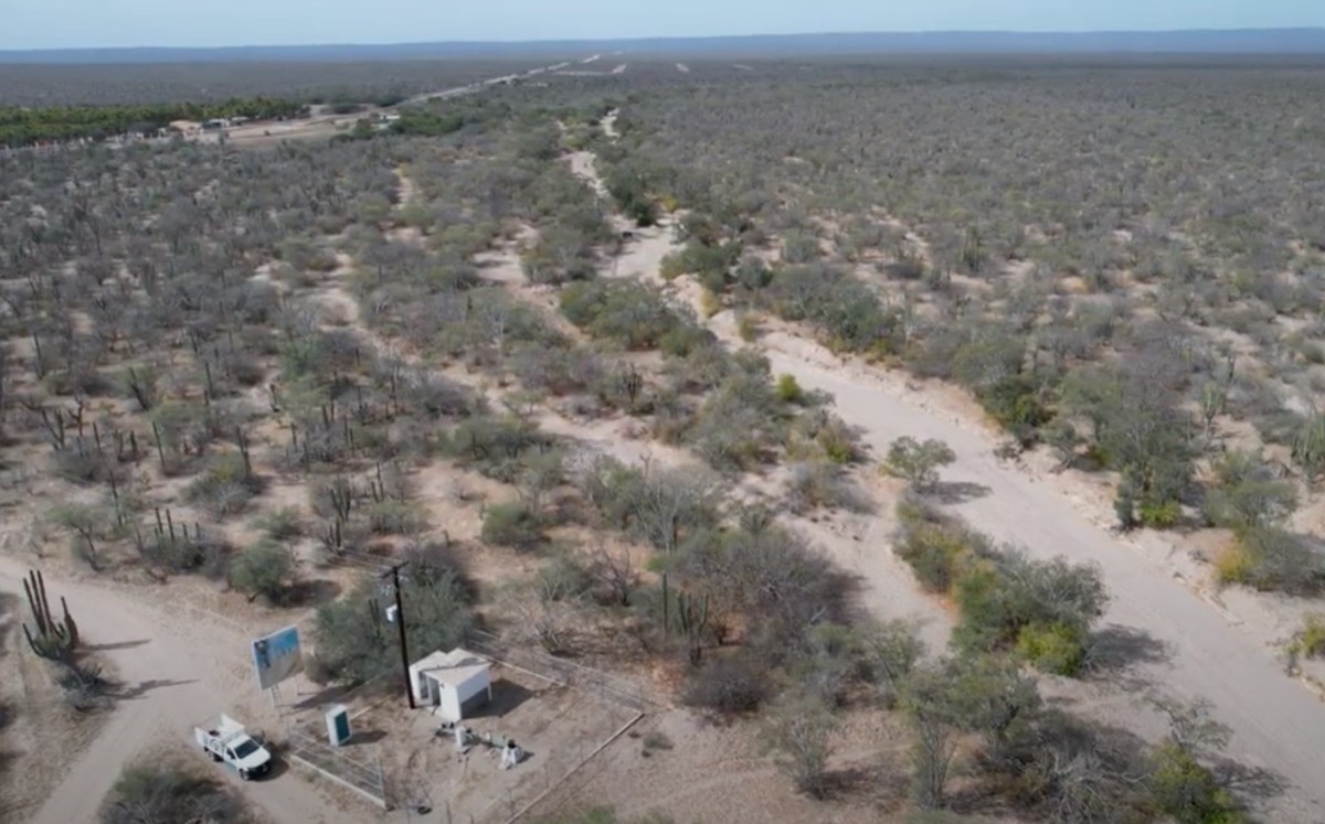 El promovente solicitó a la Semarnat el cambio de uso de suelo forestal. | Especial
