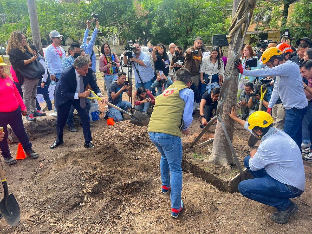 Comenzó la temporada de plantación de árboles 2022. (Pablo Núñez)