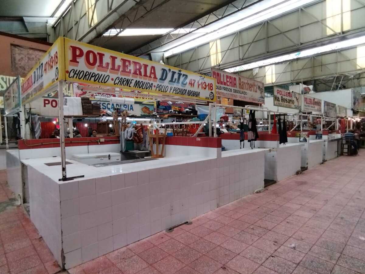 pollo