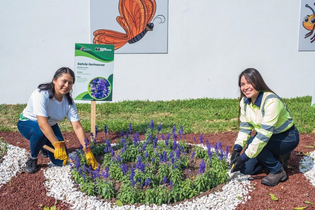 Estudiantes de distintas regiones del país ayudan a la conservación ambiental. (Cortesía)