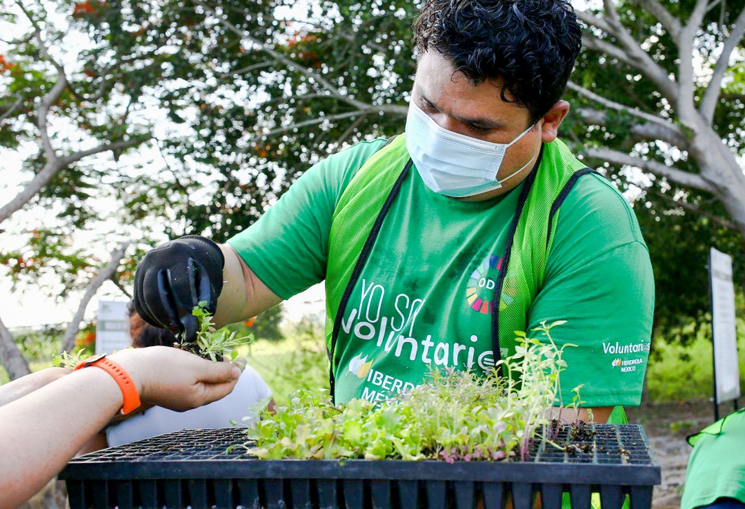 Las hortalizas que se plantan se eligen tras realizar un estudio de la vegetación de la región y las necesidades de su población. (Cortesía)