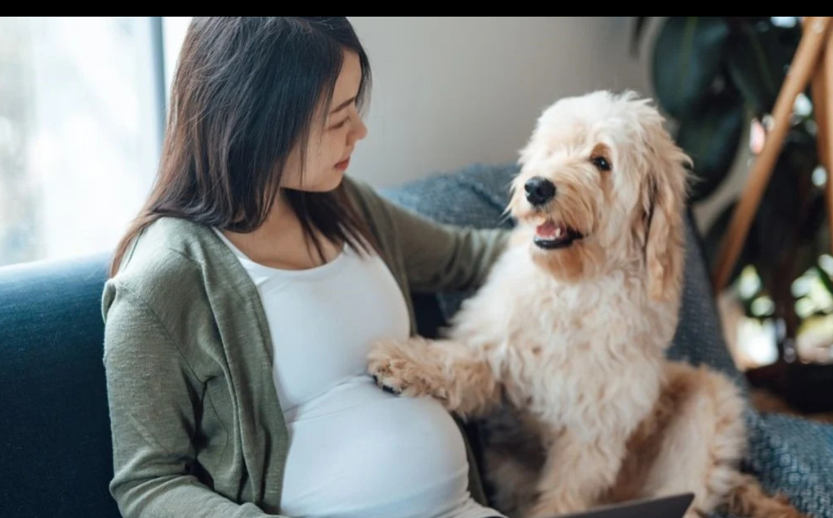 Pelea entre amigas se hace viral: le puso a su perro el nombre que amiga iba a usar para su bebé | ESPECIAL