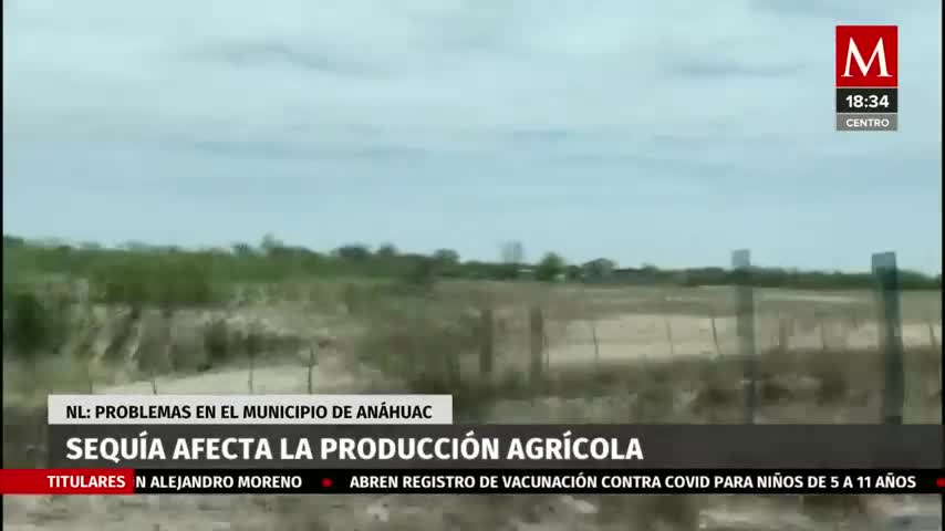 Cae 90% actividad agrícola de Anáhuac