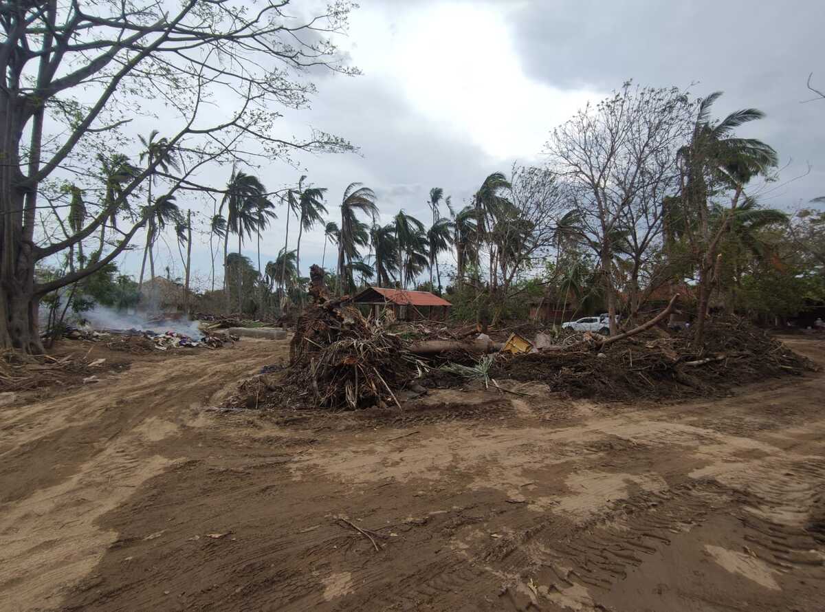 El huracán arrasó con Piña Palmera | Gaspar Vela