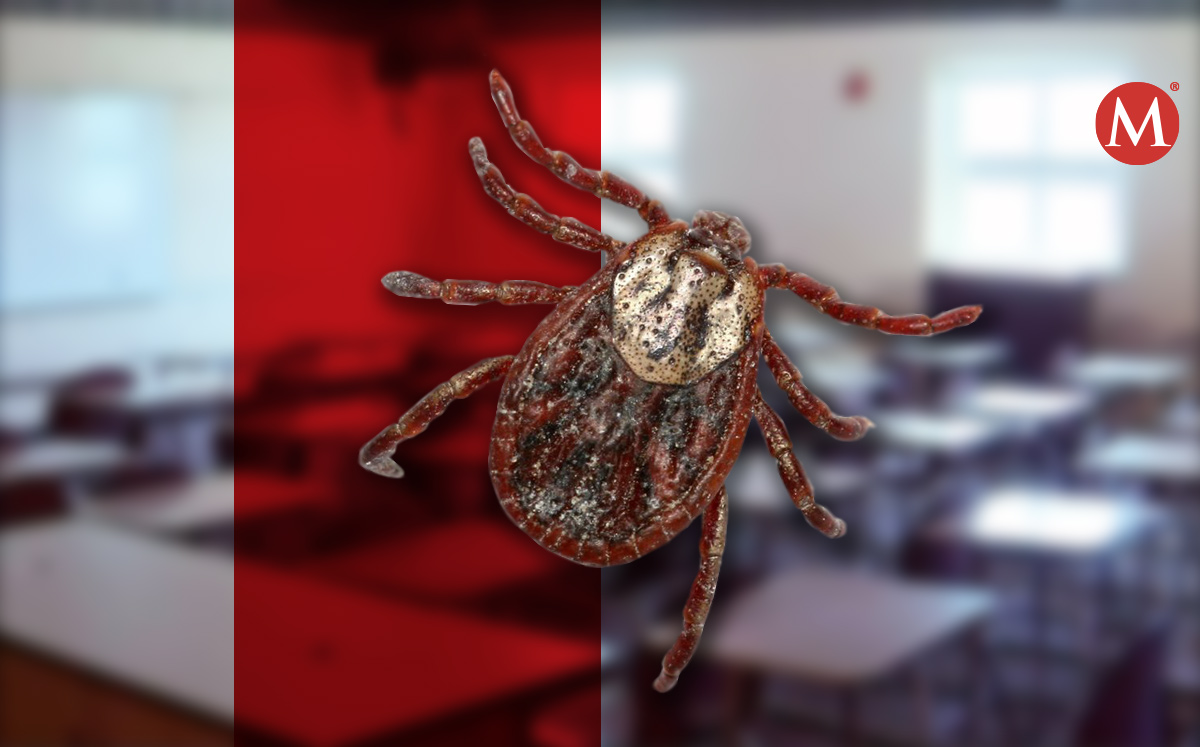 La Escuela primaria Baldomero de León Tovar suspendió clases presenciales debido a las labores de fumigación.  | Especial